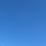 糖Y糖