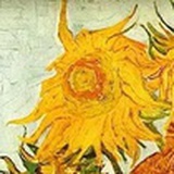 咆哮的花