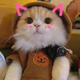 秃头阿姨