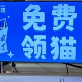 sdd