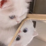 魔法★梅莉