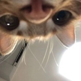 祷文