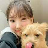 猪宝i