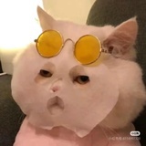 吃一口冰淇淋
