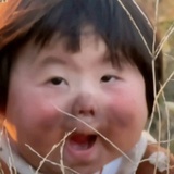 知名人鱼小