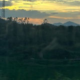 mujiz