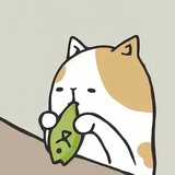 荔枝泡泡