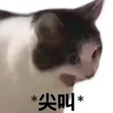 哈哈不可能吧