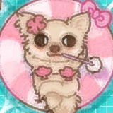 毛笋maose