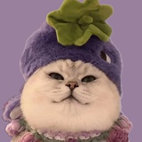 菠萝爱吃咕噜肉