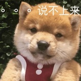 冰棒冰棒
