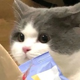 硬派思维