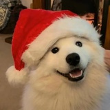 kkzk