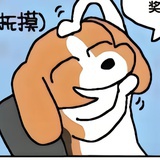 秦书琴