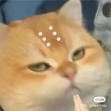 ：）