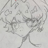 松柏树白漆