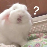 Her