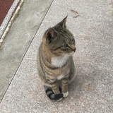 风拥