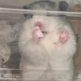 在春天里