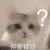边蘑咕咕~