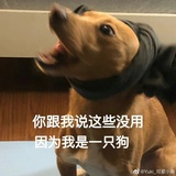 神明经过我身边