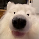 11111111