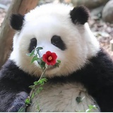果赖过来果赖