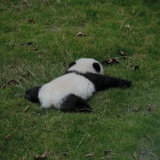 尘埃眠于光年