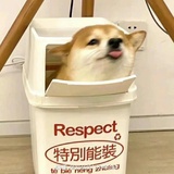 妮妮