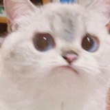 麓笙