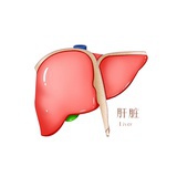 阿肝正传
