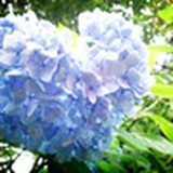 聿轩
