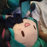 椹木箱