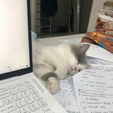 溪见