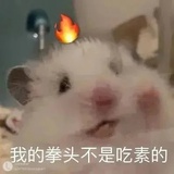 今天磕到了吗