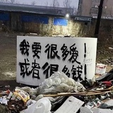 做只小狗