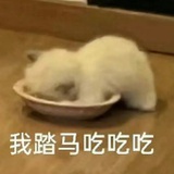 椭圆萝卜螺