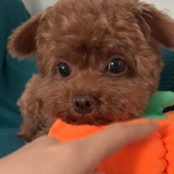 累了请睡觉