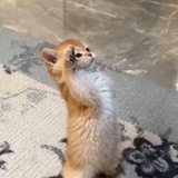 dufstcjjilhoh