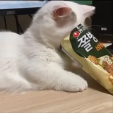 桃之夭夭·重生