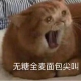 快乐的猹