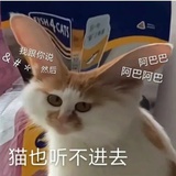 等待删贴中