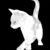鈤