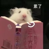 老🦆粉丝汤