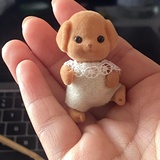 贝贝