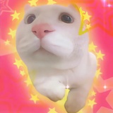 咩咩废