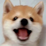 小王子