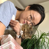 Ke大王在哪里