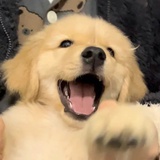 我不行谁行