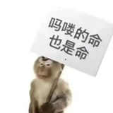你的亲亲小吗喽